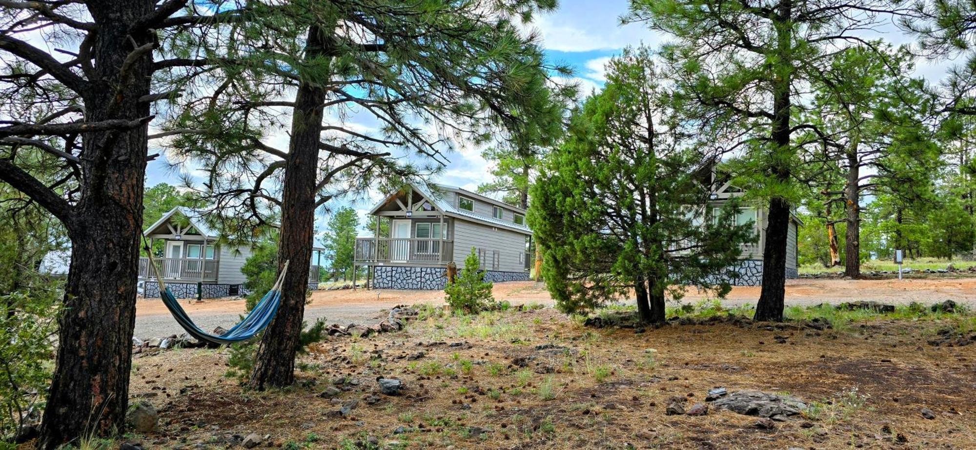 Cabin With A Mountain View 6B Уилямс Екстериор снимка